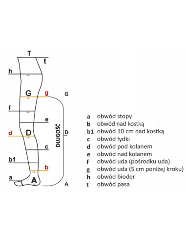 ARIES POŃCZOCHY CCL1 Anti-Trombo