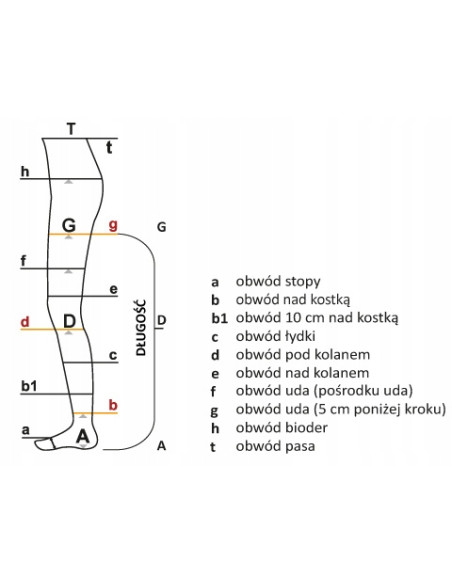 ARIES POŃCZOCHY CCL1 Anti-Trombo