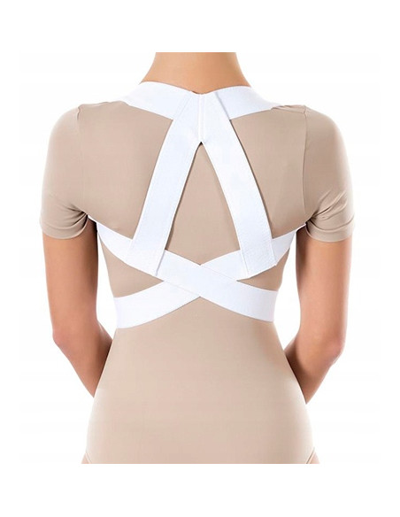 PT 201B PAS BARKOWY PROSTUJĄCY