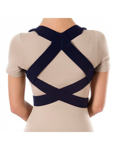 PT 201B PAS BARKOWY PROSTUJĄCY